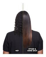 duet style 2 in 1 hot air styler